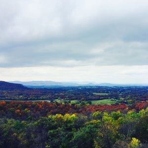 Meet your Posher, Dylan